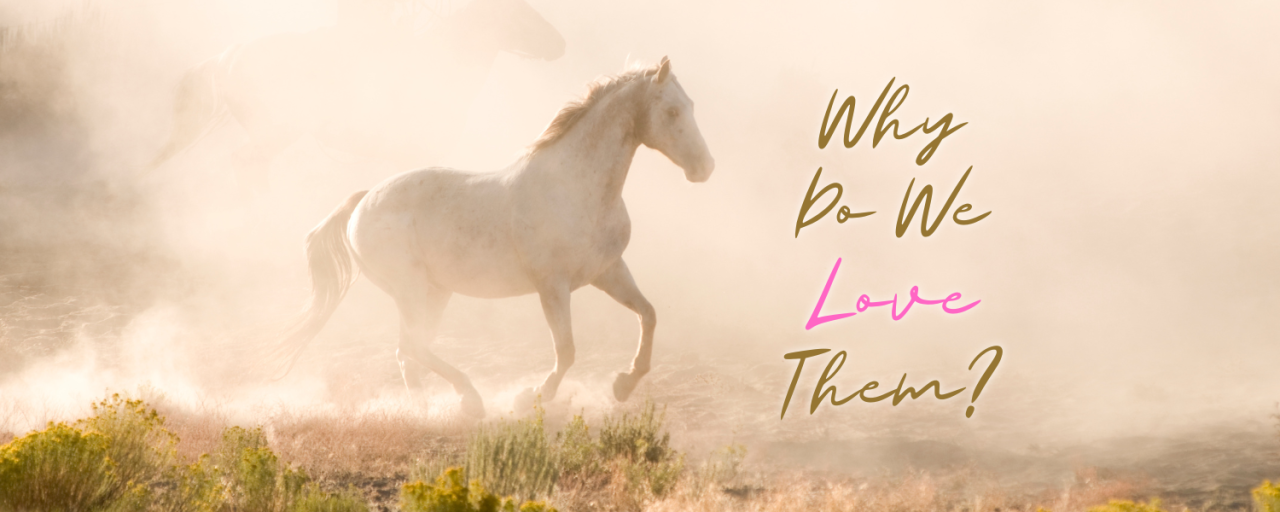 Why We Love Our Horses – And Always Will